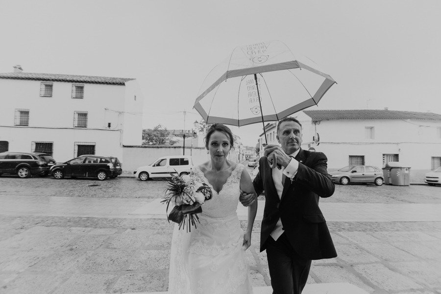 Boda en Socuellamos Ciudad Real Jardín Las Adelfas Villarrobledo Albacete BiCreative 044